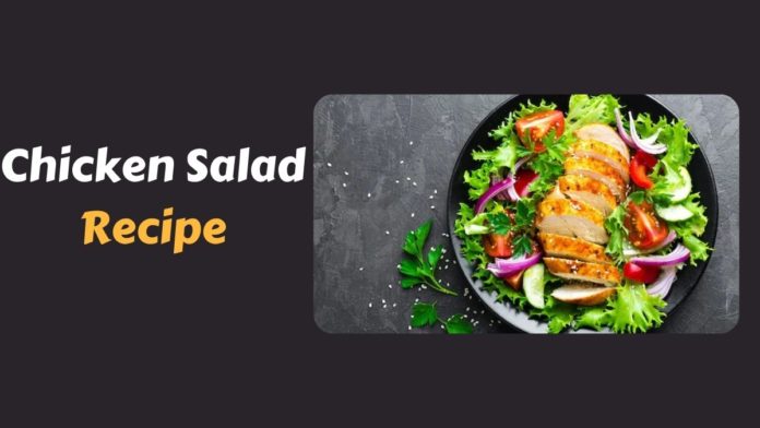 Chicken Salad Recipe in Hindi