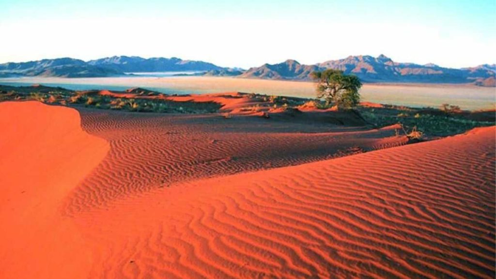 Kalahari Duniya Ka Sabse Bada Registan