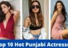 Top 10 हॉट पंजाबी एक्ट्रेस 2026 में Top 10 Hot Punjabi Actresses