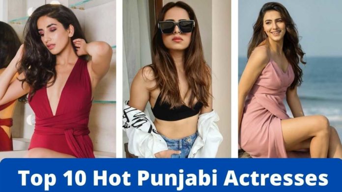 Top 10 Hot Punjabi Actresses