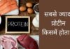 सबसे ज्यादा प्रोटीन किसमें होता है? Sabse Jyada Protein Kisme Hota Hai