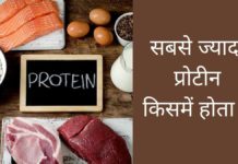 सबसे ज्यादा प्रोटीन किसमें होता है? Sabse Jyada Protein Kisme Hota Hai