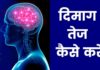 दिमाग तेज़ कैसे करें घरेलू उपाय? Dimag Tej Kaise Kare