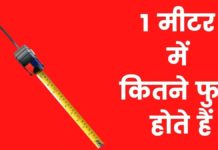 1 मीटर में कितने फुट होते हैं | 1 Metre Mein Kitne Foot Hote Hain 1 Metre Mein Kitne Foot Hote Hain