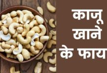 काजू खाने के फायदे | Kaju Khane Ke Fayde Kaju Khane Ke Fayde