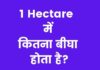 1 Hectare में कितना बीघा होता है पूरी जानकारी हिंदी में? 1 Hectare Mein Kitna Bigha Hota Hai
