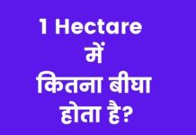 1 Hectare में कितना बीघा होता है पूरी जानकारी हिंदी में? 1 Hectare Mein Kitna Bigha Hota Hai