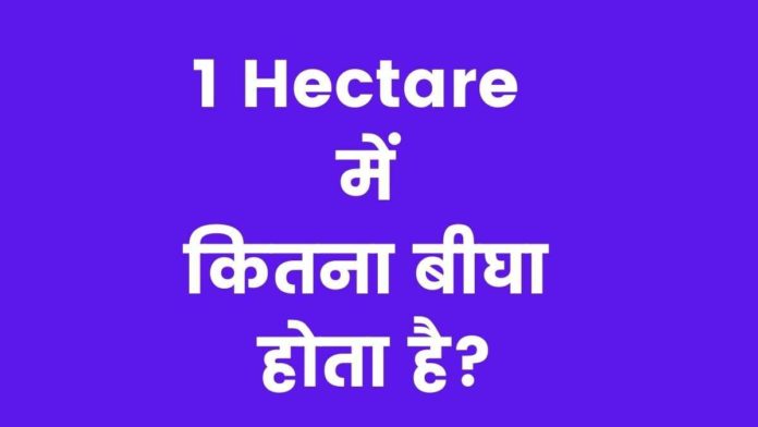 1 Hectare Mein Kitna Bigha Hota Hai