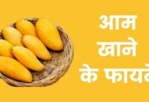 आम खाने के फायदे | Mango Khane Ke Fayde Mango Khane Ke Fayde