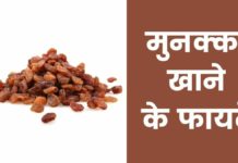 मुनक्का खाने के फायदे | Munakka Khane Ke Fayde Munakka Khane Ke Fayde