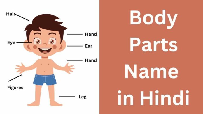 Body Parts Name in Hindi