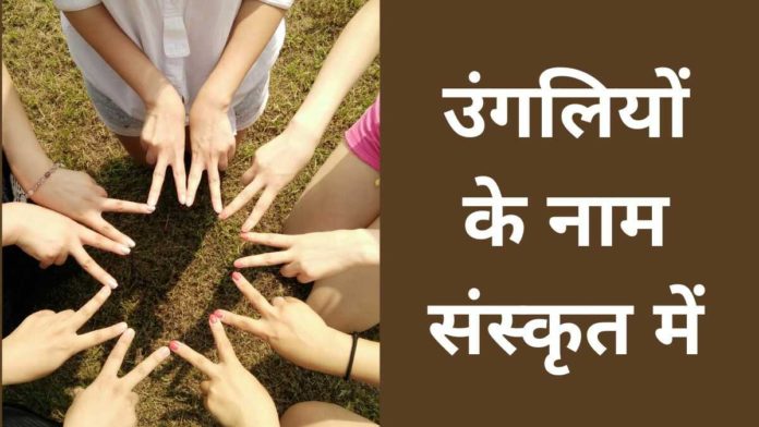 Fingers Name in Sanskrit