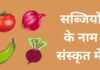 51+ सब्जियों के नाम संस्कृत में | Vegetables Name in Sanskrit vegetables name in sanskrit