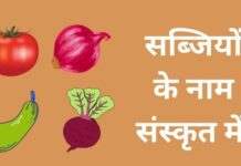 51+ सब्जियों के नाम संस्कृत में | Vegetables Name in Sanskrit vegetables name in sanskrit