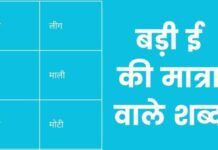 300+ बड़ी ई की मात्रा वाले शब्द | Badi Ee Ki Matra Wale Shabd badi ee ki matra wale shabd