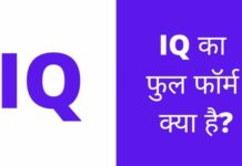 IQ फुल फॉर्म क्या होता है पूरी जानकारी हिंदी में? iq full form