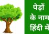 पेड़ों के नाम हिंदी और इंग्लिश में | Trees Name in Hindi And English trees name in hindi