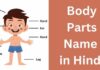 शरीर के अंगों के नाम हिंदी और अंग्रेजी में | Body Parts Name in Hindi body parts name in hindi