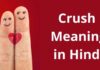 क्रश का मतलब क्या होता है? | Crush Meaning in Hindi crush meaning in hindi