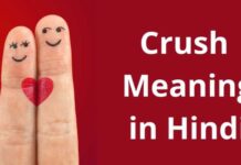 क्रश का मतलब क्या होता है? | Crush Meaning in Hindi crush meaning in hindi