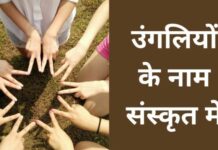 उंगलियों के नाम संस्कृत में | Fingers Name in Sanskrit fingers name in sanskrit
