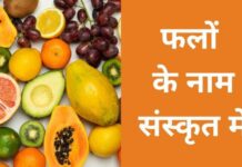 संस्कृत में फलों के नाम | Fruits name in Sanskrit fruits name in sanskrit