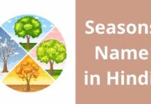 ऋतुओं के नाम हिन्दी और अंग्रेजी में | Seasons Name in Hindi seasons name in hindi