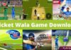 Top 10 Best Cricket Wala Game 2026 में? cricket wala game