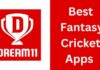 10+ Best Fantasy Cricket Apps कौनसे है 2026 में? best fantasy cricket apps