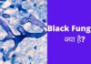 Black Fungus क्या है? पूरी जानकारी हिंदी में black fungus kya hai in hindi